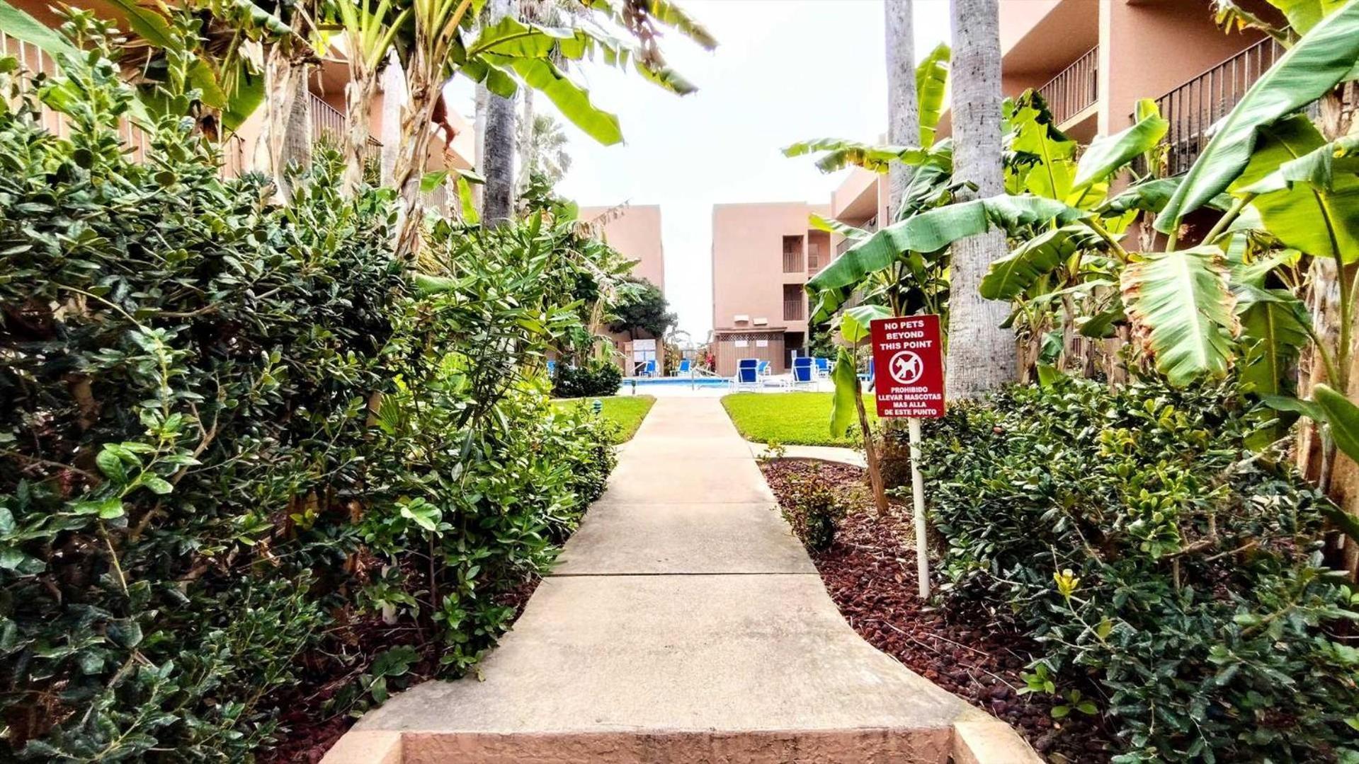Beachview 110 Condo South Padre Island Exterior foto